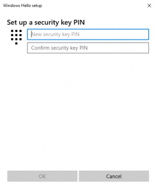 Set up keys in Windows – FIDO Security Keys